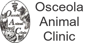 Veterinarian and Animal Hospital in Kissimmee, FL